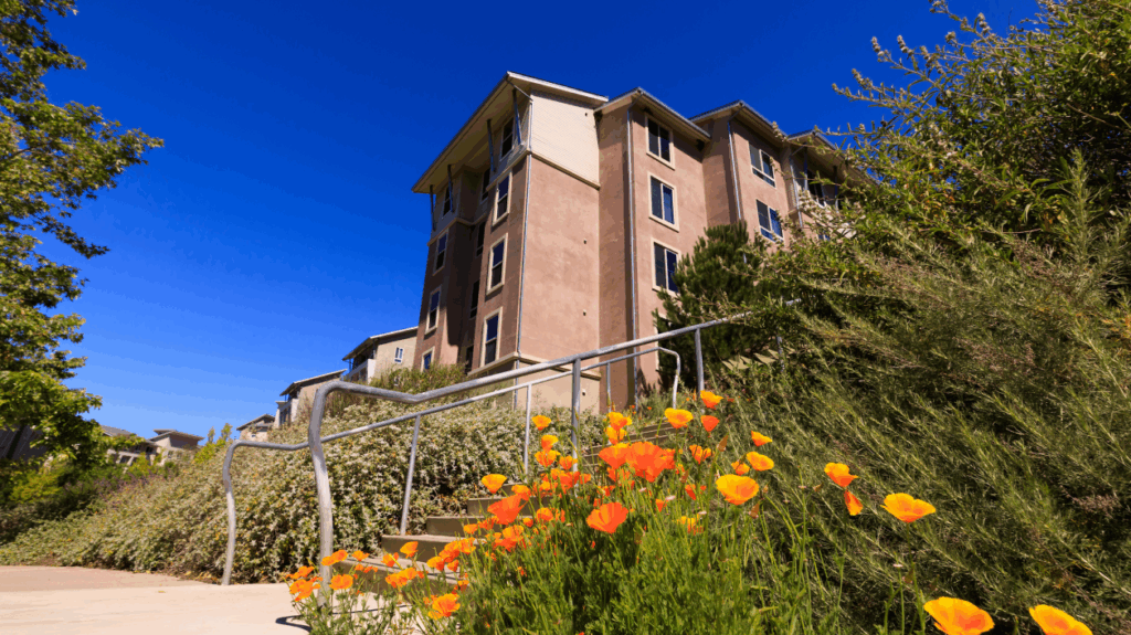 Cal Poly student housing buildings with vibrant California poppies blooming in the foreground