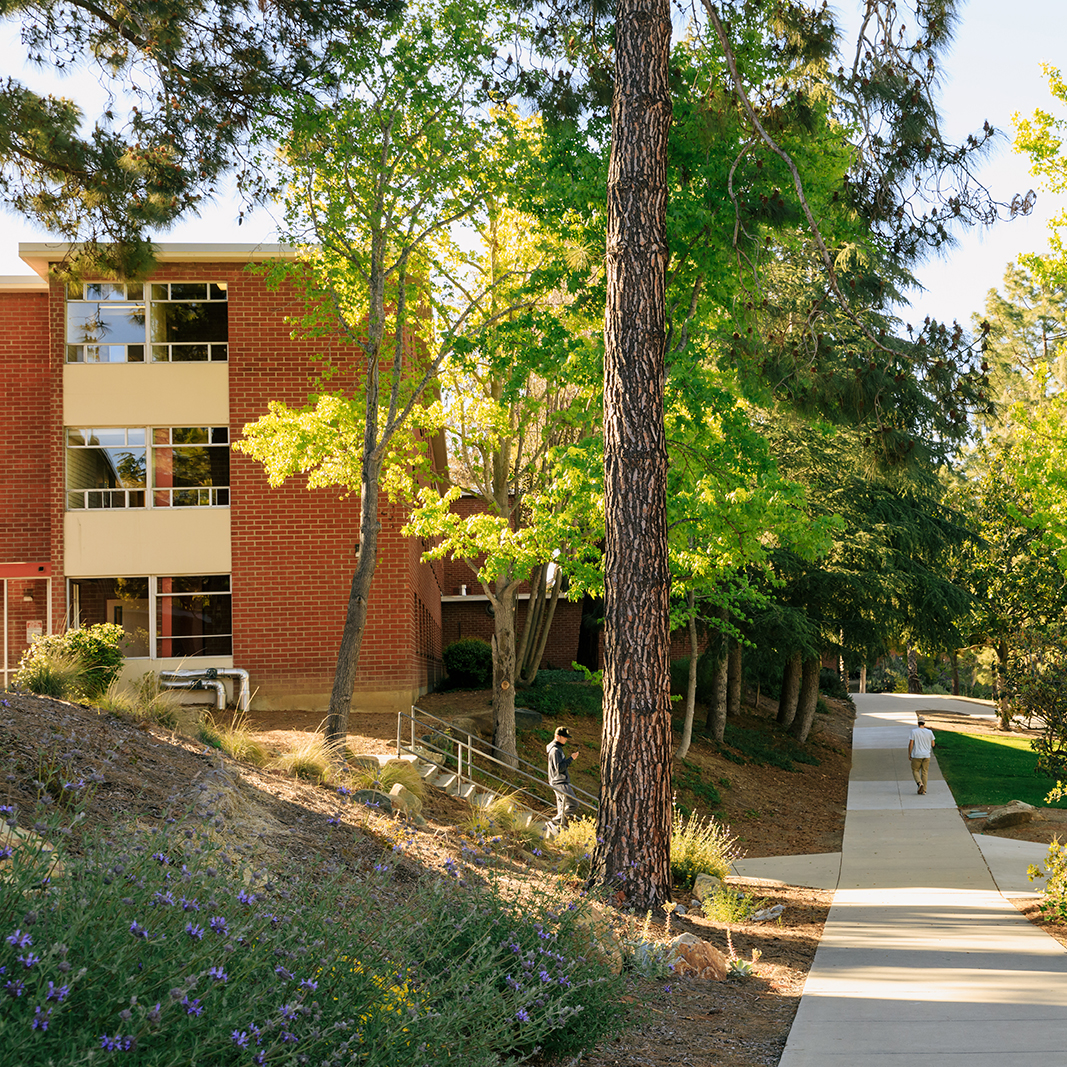 Cal Poly's South Mountain dormitories surrounded by trees and nature trail with students walking on a sunny day
