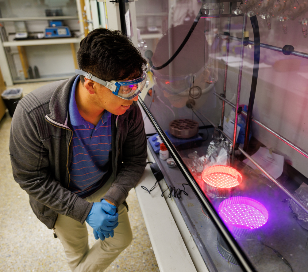 Cal Poly student observing glowing chemical reactions through a fume hood in a laboratory setting